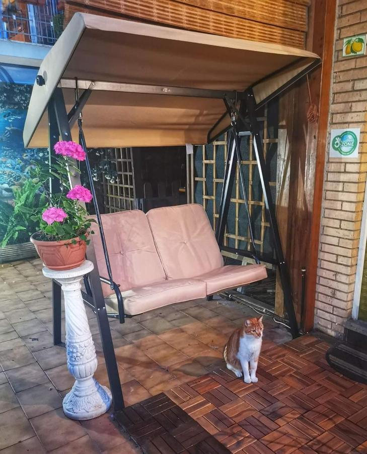 Guest House Il Limone Nascosto ローマ エクステリア 写真
