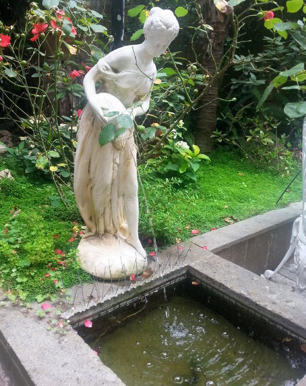 Guest House Il Limone Nascosto ローマ エクステリア 写真